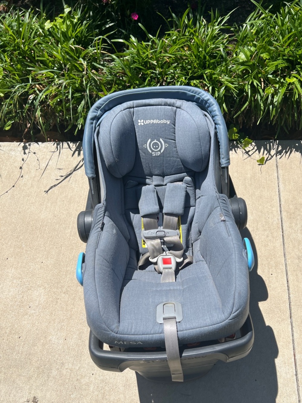 UPPAbaby Blue Infant Car Seat blue